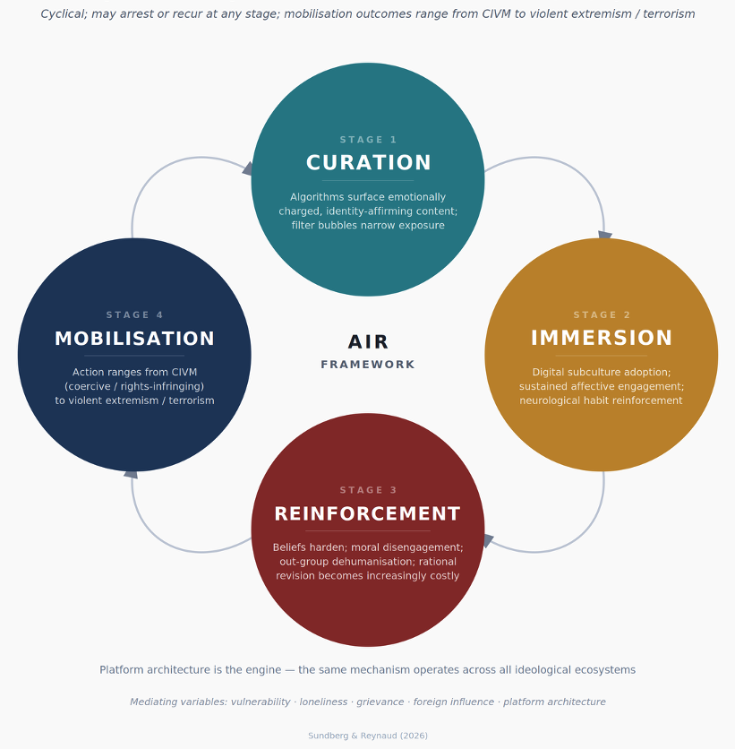 Algorithmic Immersion Radicalisation cycle showing curation, immersion, reinforcement, and mobilisation.